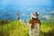 Asian woman travel nature. Travel relax. Standing natural touch grass on the Mountain at Khao-Khoâ€Ž. travel Thailand