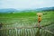 Asian woman travel nature. Walking open an umbrella sling backpack on the field. View of the field on the Moutain in summer.