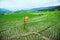 Asian woman travel nature. Walking open an umbrella sling backpack on the field. View of the field on the Moutain in summer.