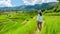 Asian woman watching the Terraced Rice Field in Chiangmai, Royal Project Khun Pae Northern Thailand