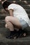 Asian woman wearing boots crouching on cement steps