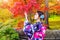 Asian woman wearing japanese traditional kimono in autumn park. Japan