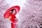 Asian woman wearing japanese traditional kimono and cherry blossom in spring, Japan