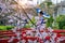 Asian woman wearing japanese traditional kimono and cherry blossom in spring, Kyoto temple in Japan