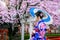 Asian woman wearing japanese traditional kimono and cherry blossom in spring, Kyoto temple in Japan