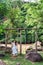 Asian woman in white dress relaxing wooden swing on riverside in the jungle