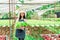 Asian woman who owns a hydroponics vegetable farm. Harvest green vegetables in baskets for sale, grow vegetables using water