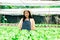 Asian woman who owns a hydroponics vegetable farm. Harvest green vegetables in baskets for sale, grow vegetables using water