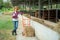 Asian woman worker standing and thumbs up on cow farm, farming, people and animal, Agriculture industry