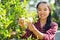 Asian womanpicking young orange fruit