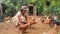 Asian women feeding chicken at a farm, women feeding chicken at a eco farm in Thailand