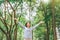 Asian women raise their hands to nature in the forest .people protect from deforestation and pollution or climate change Concept