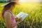 Asian women relax in the holiday. Read books on vacation. Write a study of natural garden rice field garden