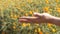 Asian women relaxing with blooming flower in the garden moving with wind