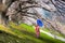 Asian women wear traditional kimonos Looking at Sakura tree,Japan