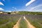 Asian women in white retro long dress walking in Provence lavender field, against medieval French town Bagnon on the mountain