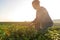 Asian worker farmer women were picking tea leaves for traditions in the sunrise morning at tea plantation nature.