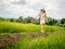 Asian young adult walking on ridge in green rice field. Ecology travel in Nan, Thailand. person standing in wide rice terrace.