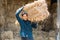 Asian young farmer carry organic rice straw for livestock