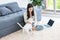 Asian young female owner sitting smiling on carpet floor browsing surfing internet online via laptop computer playing chew ball