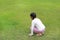 Asian young girl child lying on green lawn at the garden. Kid lies on grass