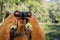 Asian young girl looking through a binoculars searching for an imagination or exploration in summer day in the forest