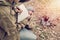 Asian young man sitting is holding a pen writing note of letter memorize memories on book in outside the tent. Loneliness camping