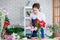 Asian young professional female flower shopkeeper decorator florist wearing jeans apron standing smiling working decorating red