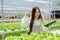 Asian young smart women farmers are applying technology to management greenhouse hydroponics farming and organically agriculture.