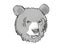 Asiatic Black Bear Endangered Wildlife Cartoon Retro Drawing