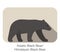 Asiatic black bear walking side flat 3D icon design, vector illustration