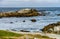 Asilomar State Marine Reserve