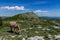 Asino Amiatino, Donkey Grazing On Mount Labbro Equus af