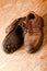 Askew photo of old brown leather shoes on OSB board