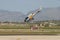 ASPA patrol acrobatic helicopter during show