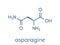 Asparagine L-asparagine, Asn, N amino acid molecule. Skeletal formula.