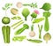 Asparagus, artichoke and celery set. Whole and cut organic, fresh, nutritious, healthy vegetables cartoon vector
