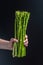 Asparagus. bunch of fresh asparagus in women`s hands. banches of fresh green asparagus on dark background, Pickled Green Asparagu