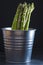 Asparagus bundle on a black background