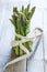 Asparagus and centimeter healthy lifestyle and diet