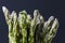 Asparagus Close Up