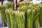 Asparagus at a farmers market in Thailand.