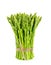 Asparagus fresh gereen on white background
