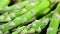 Asparagus. Fresh raw organic green Asparagus sprouts closeup, Healthy vegetarian food. Raw vegetables, market. Vegan