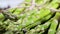 Asparagus, Fresh raw organic green Asparagus sprouts closeup, Healthy vegetarian food. Raw vegetables, market. Vegan