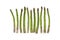 Asparagus group of green healthy vegetables organized in a row isolated on a white background as a food concept of