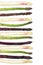 Asparagus group of healthy vegetables organized in a row isolated on a white background. Purplem green and white