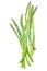 Asparagus isolated