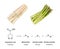 Asparagus and the metabolites of asparagusic acid, chemical formulas