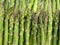 Asparagus spears